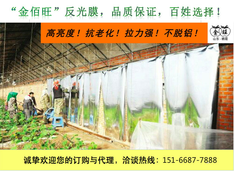 苹果反光膜