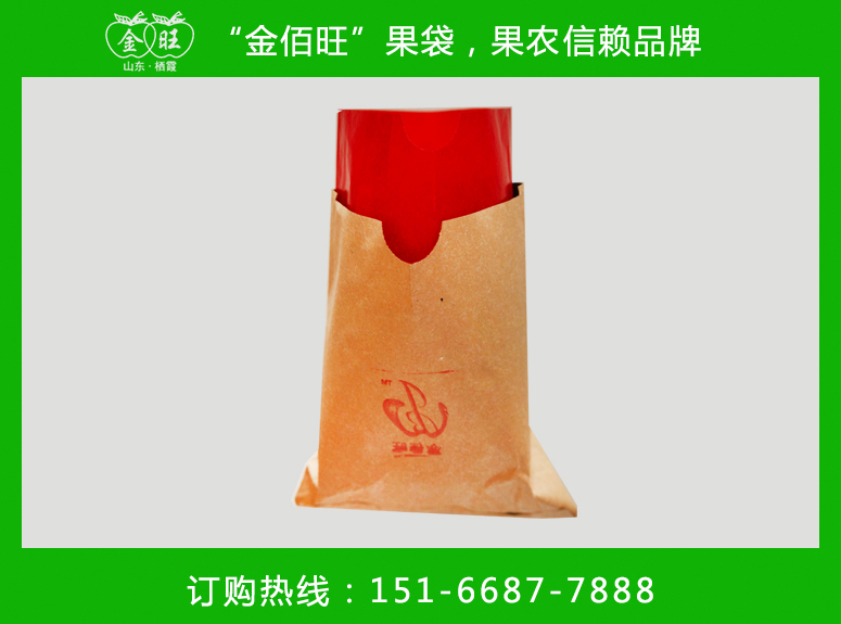 脐橙套袋